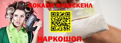 индика Новодвинск