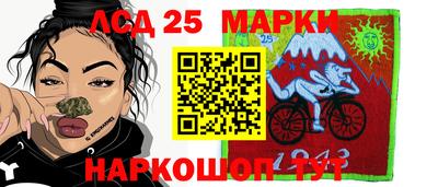 индика Новодвинск