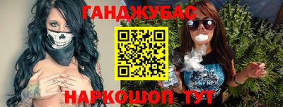 индика Новодвинск