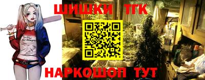 индика Новодвинск