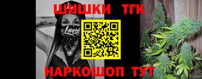 индика Новодвинск