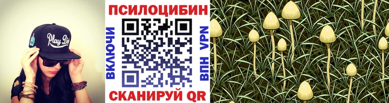KRAKEN ссылка  Серов  Галлюциногенные грибы Psilocybine cubensis 