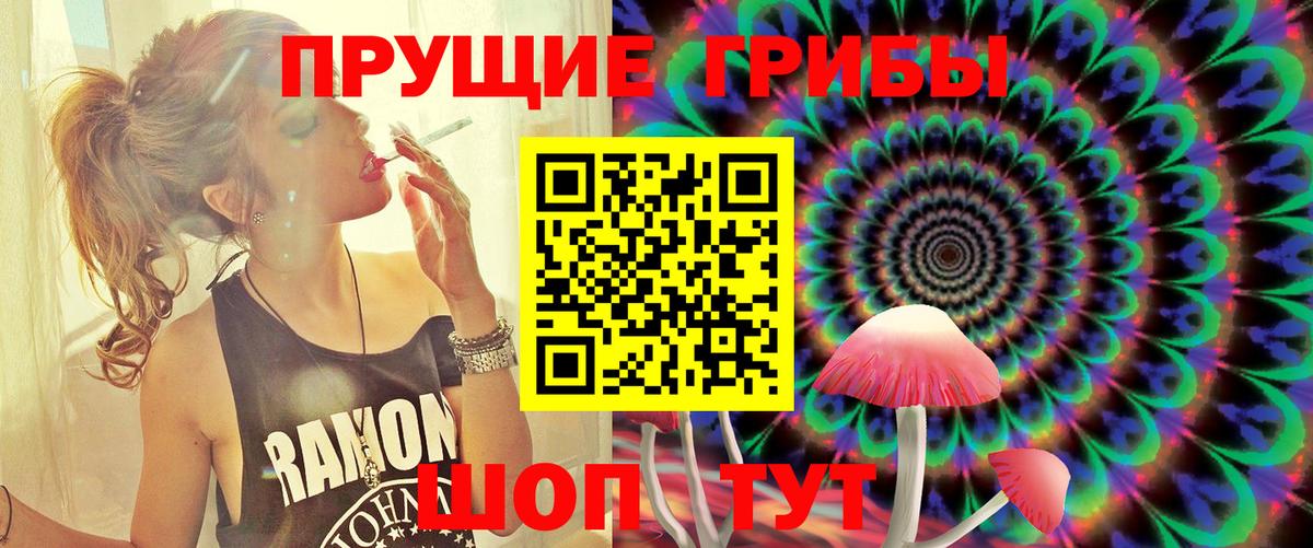 Галлюциногенные грибы Psilocybine cubensis  Псилоцибиновые грибы Psilocybe  Серов  Вход с VPN 