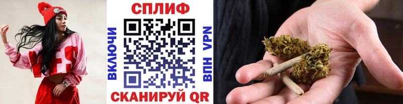 Бошки Шишки индика  купить наркоту  Серов 